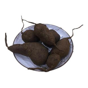 浙江正宗新鲜三叶青500g包邮中药材正品金线吊葫芦精选良心采挖