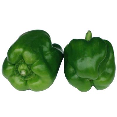 脆嫩个头味道现摘发货350g柿子椒