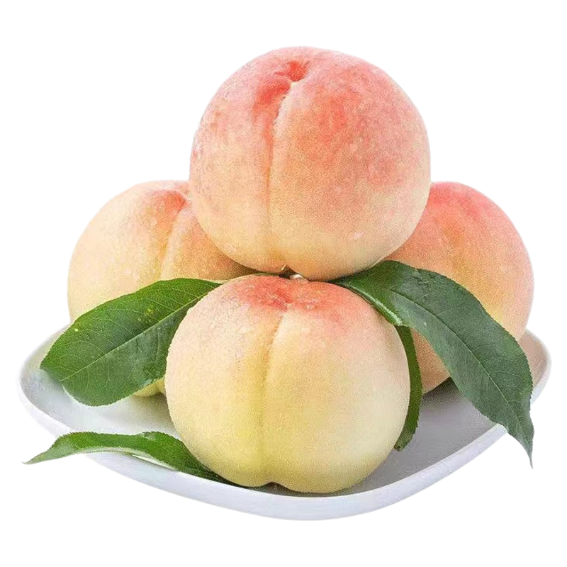 現(xiàn)摘正宗無(wú)錫水蜜桃新鮮當(dāng)季孕婦整箱禮盒水果白鳳特甜爆汁軟桃子