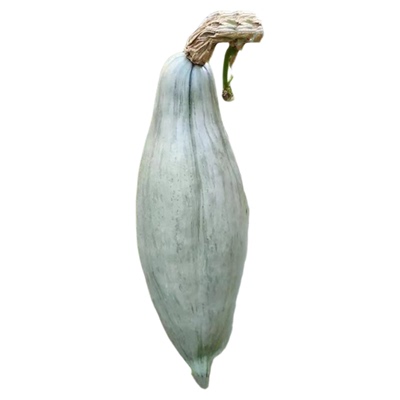 蟋蟀贵族南瓜种子甜面