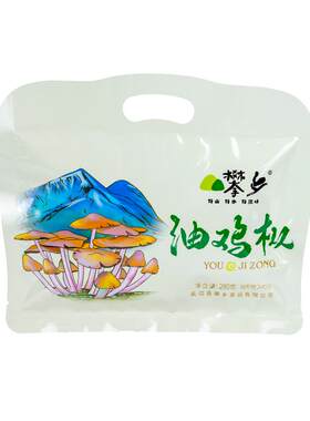 四川攀枝花特产油鸡枞菌子