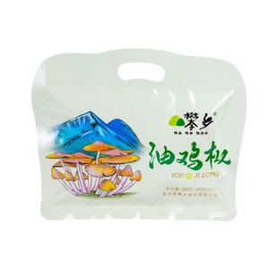 四川攀枝花特产油鸡枞菌子特色地方美味即食拌面调料下饭菜280g