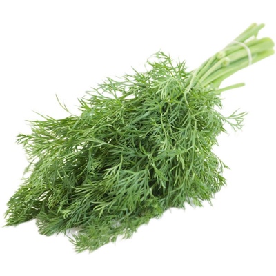 可打粉种子种籽苗孑小茴香菜阳台四季菜种盆栽籽种蔬菜菜籽回香
