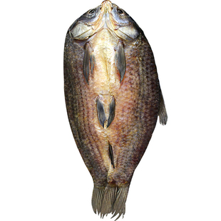 去麟鱼干 嘉兴王江泾咸鱼干礼盒装无麟鱼干 螺蛳青鱼干整条过年鱼