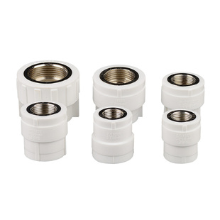 PPR接头热熔内丝口牙直通直接20 4分25 32 40 50水暖管件水管配件