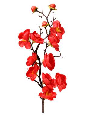 梅花枝生日蛋糕装饰摆件中国风老人过寿祝寿装扮配件插件