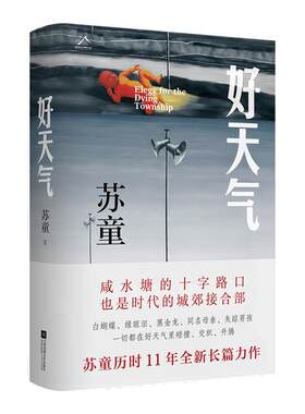 好天气茅盾文学奖作家苏童作品