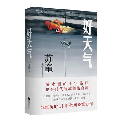 好天气茅盾文学奖作家苏童作品
