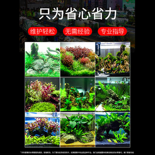 草缸造景套餐成品真水草天然水族箱草坪小型家用新手鱼缸装饰套餐