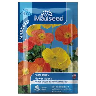 【MARSEED火星家】四季盆栽好看整包100粒冰岛虞美人种子籽孑