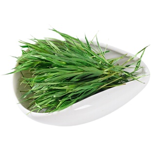 崂山石竹茶新茶500g新鲜竹叶茶嫩芽青竹叶石竹青天然散装非淡竹叶