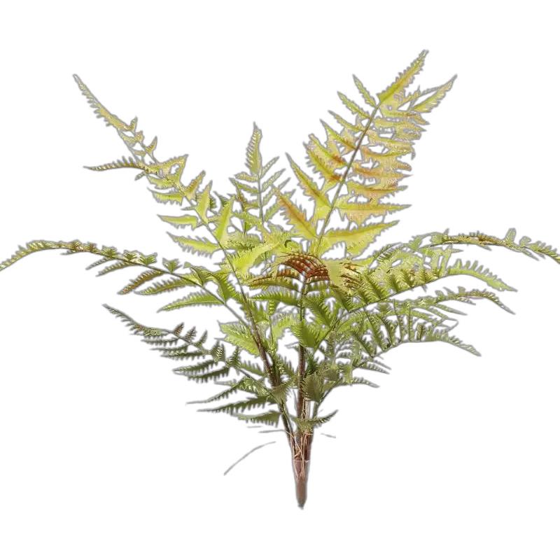 仿真蕨类植物小绿植造景