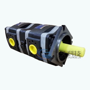 德国福伊特VOITH液压齿轮泵IPVP6 101液压油泵注塑机增压泵