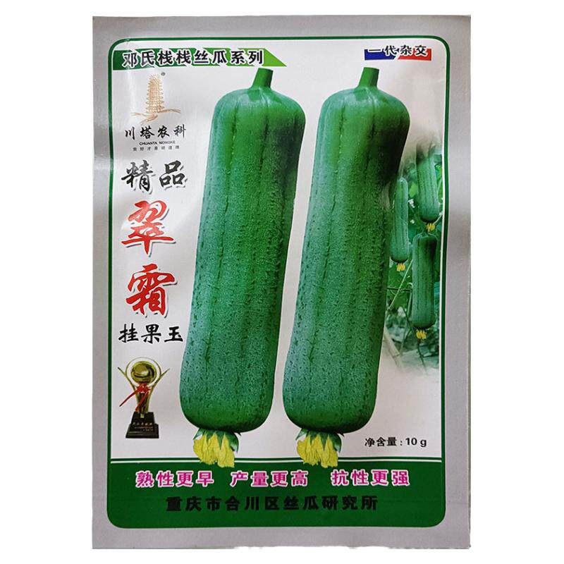 精品翠霜大肉香丝瓜种子高产薄皮