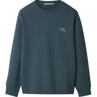 海澜之家男士卫衣2025秋季圆领珠地小标宽松刺绣上衣男款大码