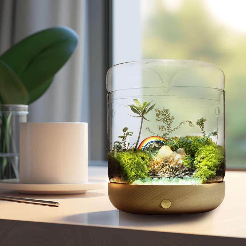 丘辰青苔藓微景观生态瓶办公室内绿植桌面小盆栽摆件DIY花卉植物