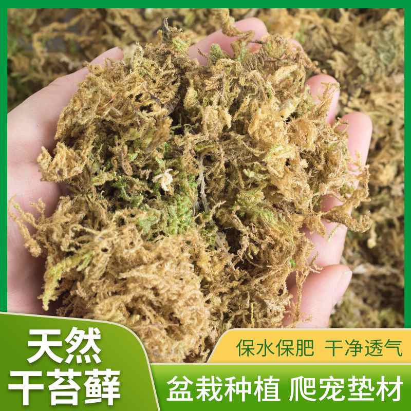 干苔藓干水苔爬营养盆运输材乌龟肉蝴蝶兰冬眠宠多栽培组土垫种植