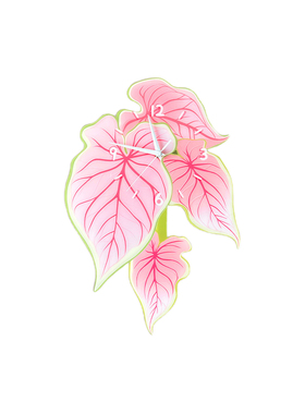 甜心彩叶芋挂钟热植钟表静音时钟