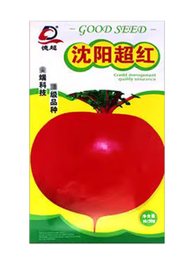 高产萝卜萝卜高产蔬菜种子红丰