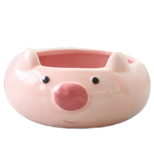 水培花盆无孔盆薄荷绿萝铜钱草动物饮水器卡通桌面盛水仙陶瓷水盆