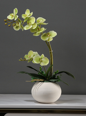 仿真蝴蝶兰花艺套装摆件新盆栽博古架中式花装饰桌面假小餐桌客厅
