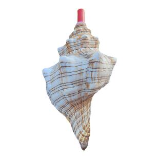 天然海螺号吹号口哨 羊角螺千手螺号角听音哨子嘴配件 儿童手礼品