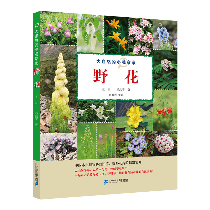 二十一世纪出版社大自然的