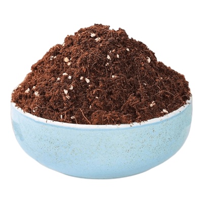 进口泥炭营养土保水保肥