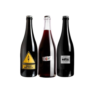 奶油香雷司令自然雷神高起泡葡萄酒宁夏贺兰山东麓焦虑黑皮诺解药