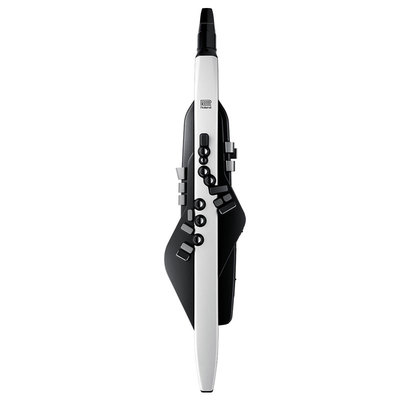 罗兰电吹管初学者ae20