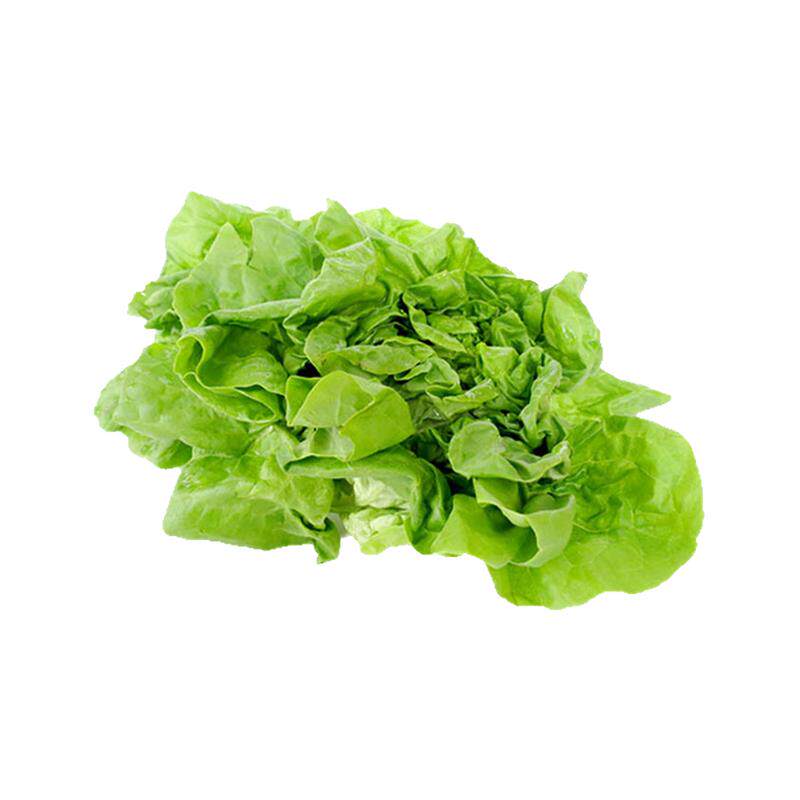 新鲜奶油生菜沙拉菜蔬菜