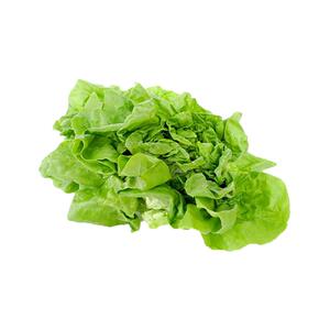 新鲜奶油生菜沙拉菜蔬菜