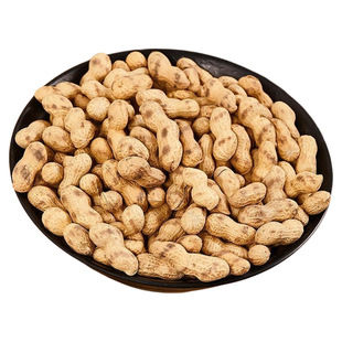 原味铁锅柴火炒花生2025新货柴火花生手工现炒香酥炒花生带壳原味