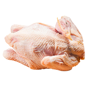 农家下蛋鸡500天老母鸡整鸡土鸡农家乡下散养走地鸡现杀冰鲜速发