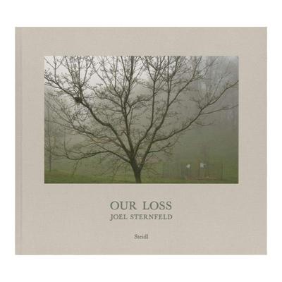 现货【保证正版】Joel Sternfeld: Our Loss 英文原版摄影集艺术图书籍 英文 艺术摄影 华源时空 Steidl