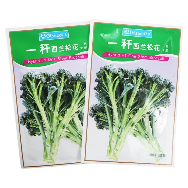 一秆西兰松花种子西兰苔西兰花种籽松花菜种籽花花菜禾之元菜籽种