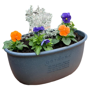 Hachiman Gardens日本进口轻奢家用蝴蝶兰三角梅花盆树脂加厚耐用