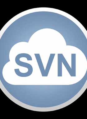 svn服务器部署，远程桌面支持，服务器管理培训，运维支持等。