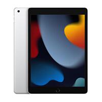 Apple/苹果 iPad(第 9 代)10.2英寸平板电脑 256GB WLAN版