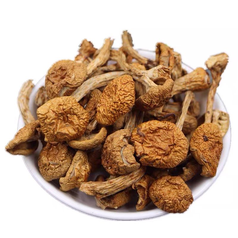东北特产长白山滑子蘑干货非野生小黄磨菇香菇小鸡炖蘑菇500g包邮