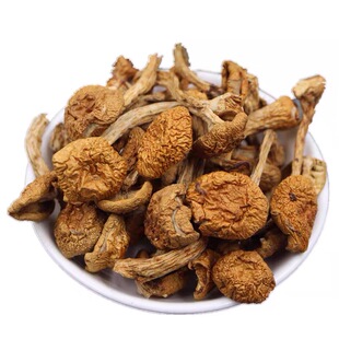 东北特产长白山滑子蘑干货非野生小黄磨菇香菇小鸡炖蘑菇500g包邮