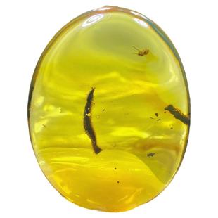 新款缅甸松枝树叶琥珀纯天然虫珀蜜蜂蚂蚁昆虫植物化石吊坠项链