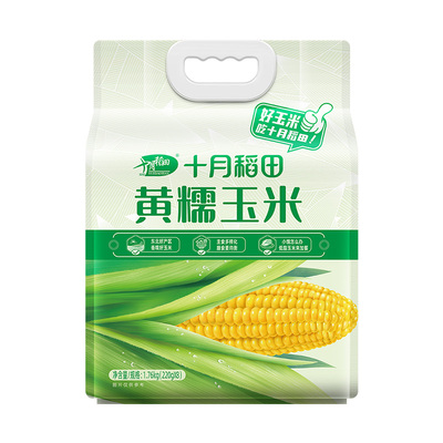 一年一季东北玉米十月稻田低脂