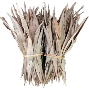 【100张】降价了 砂仁香叶猪儿粑糕叶粽叶铺垫 卤料调料火锅底料