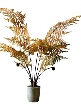 掬涵植物吊球大型橱窗造景陈列