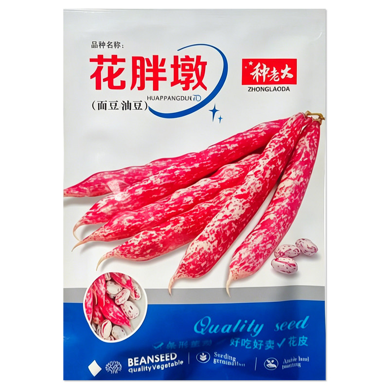 花胖墩面豆种子油豆角种子