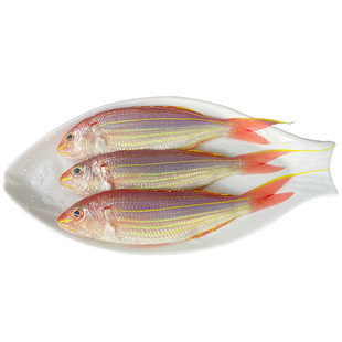 红杉鱼海鱼新鲜冷冻潮汕海鲜水产深海钓鲤红三金丝鱼金线鱼红杉鱼