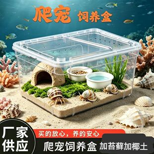 寄居蟹饲养箱套装螃蟹沙蟹相守蟹养殖盒造景缸专用寄居蟹用品陆生