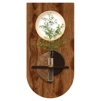 中古风水培绿植玄关感应夜灯挂画