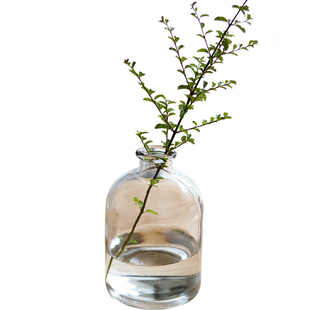 高款窄口玻璃花瓶小口透明插花水培细口长颈花器桌面装饰摆件北欧